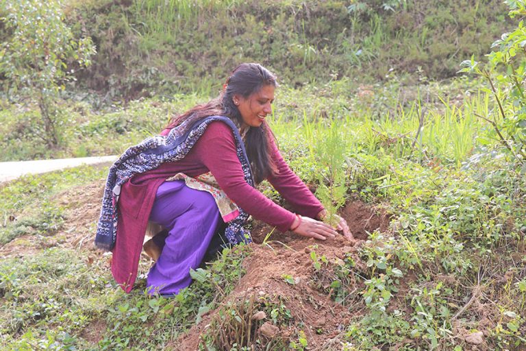 रेसुङ्गा बाल उद्यानमा वृक्षरोपण