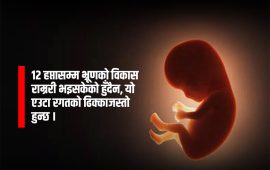 गर्भपतनपछि कसरी गरिन्छ भ्रूणको व्यवस्थापन ?