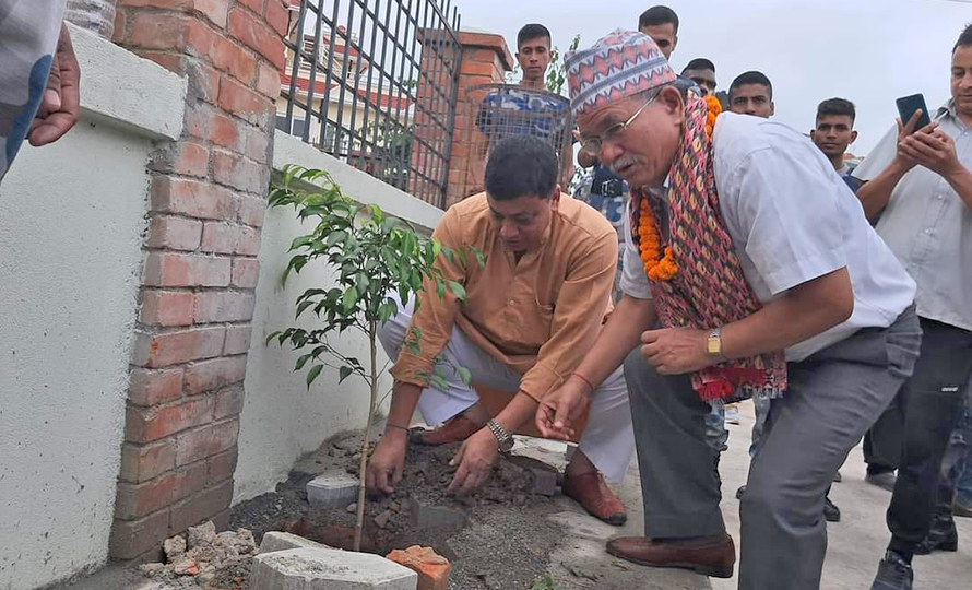 ललितपुर महानगरले फूटपाथमै गर्‍यो वृक्षारोपण