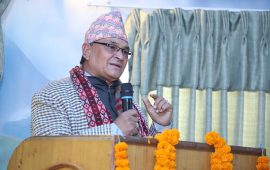 काठमाडौं-३० का वडाध्यक्षको आक्रोश : औषधि पाएको भए २५ सय कुकुर मार्थें