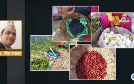 जंगली फलको व्यवसायीकरण, सहज जीवनयापन