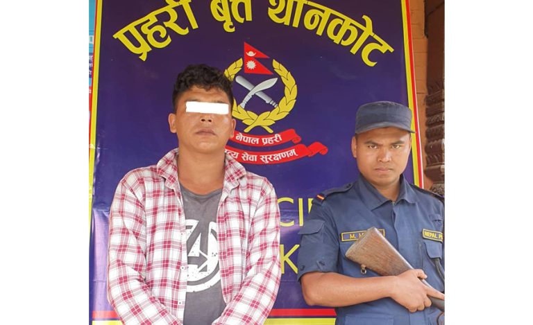  टिपरभित्र बालिकालाई जबरजस्ती करणी गरेको आरोपमा चालक पक्राउ 