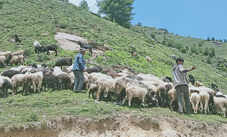 कर्णालीको कहर : बैगुनी सरकार