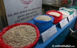 नेपालमा बरामद करोडौंको हेरोइनमा अन्तर्राष्ट्रिय चासो : तस्करले किन प्रयोग गरे उल्टो रुट ?