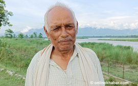 बाघ