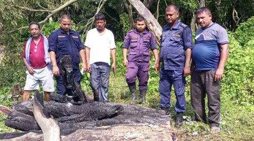 १७ वर्षकी युवतीको जंगलमा अन्त्येष्टि : आमा पक्राउ, बाबु फरार