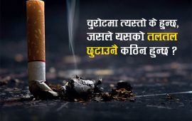 चुरोट छाड्न किन हुन्छ मुस्किल ?
