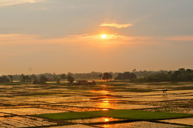 कहर बनेको कृषि : यी प्रश्न पर्गेल्न ढिला नगरौं