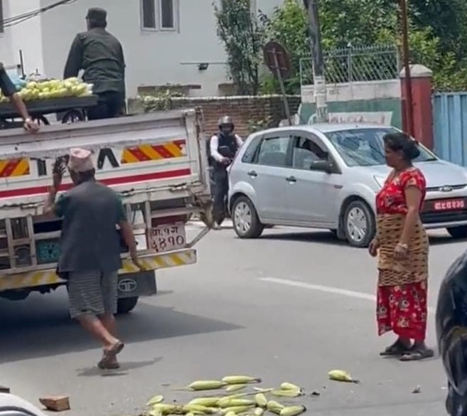 फुटपाथमा मकै बेच्ने दम्पतीमाथि थप कारवाही गर्दै महानगर