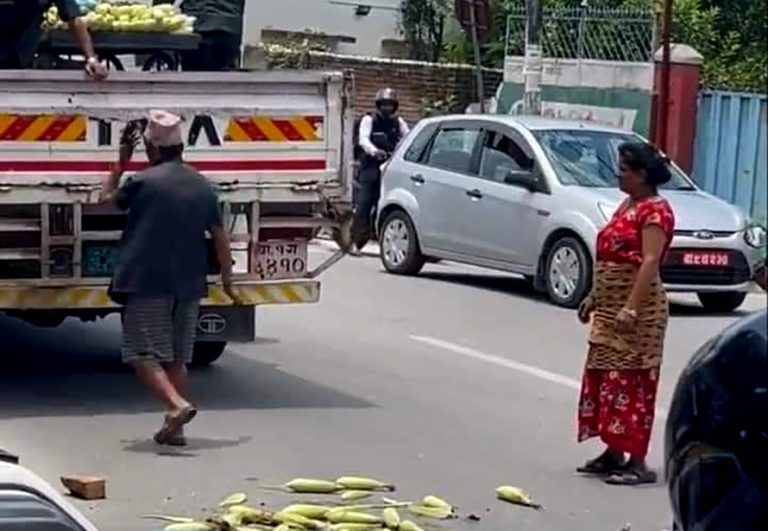 मकै बेच्ने दम्पतीलाई कारवाही गर्न प्रहरीमा महानगरको निवेदन