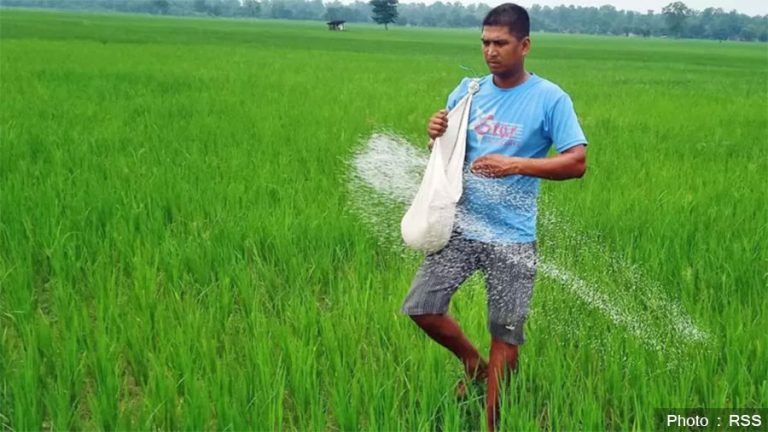 अनुदानको मल वितरण व्यवस्थित गर्न सातै प्रदेशमा सम्पर्क व्यक्ति तोक्न निर्देशन