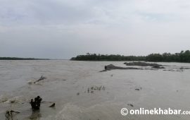 कोशी बाढी