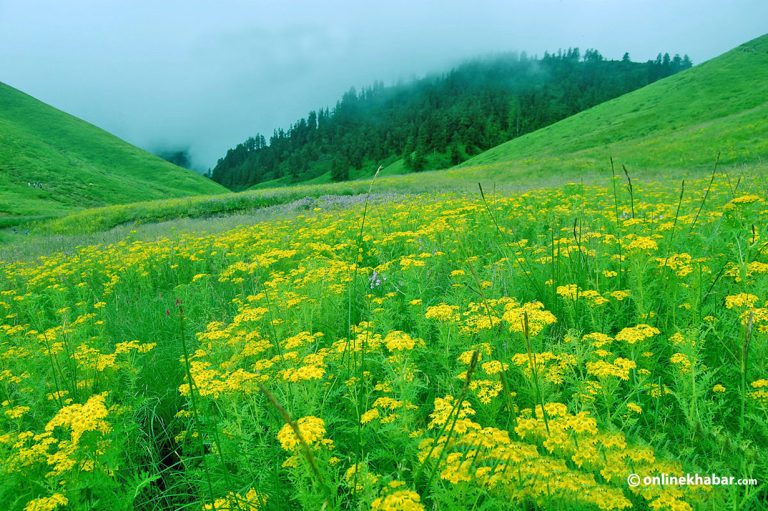 जलजला : मध्यपहाडको आकर्षक गन्तव्य