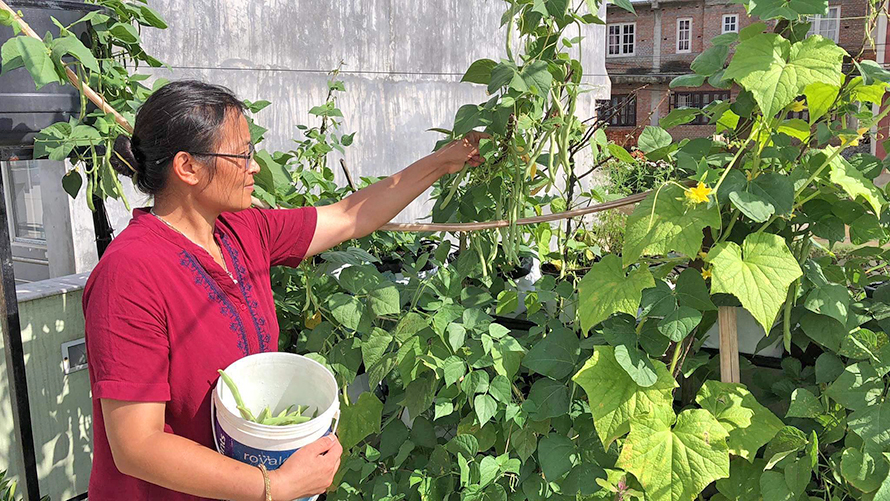 कौसी खेती प्रतियोगिताका लागि भिडियो र फोटो पठाउन आह्वान