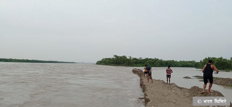 कोशी नदीको भंगालो उदयपुरको बस्तीमा पस्यो, २० हजार बढी नागरिक प्रभावित हुने