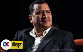 विप्लव