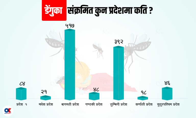 डेंगुको डरलाग्दो प्रकोप, महामारीकै रुप लिन सक्ने