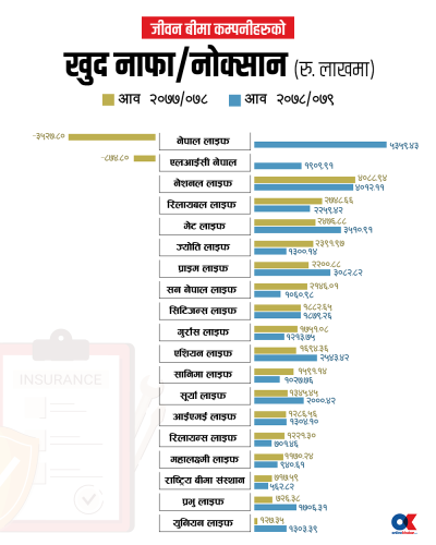 सेयर बजारमा लगानीले बीमा कम्पनीको नाफामा धक्का