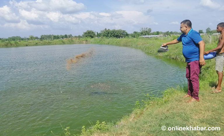 बैंकको जागिर छाडेर किसान, १०० जनालाई रोजगारी