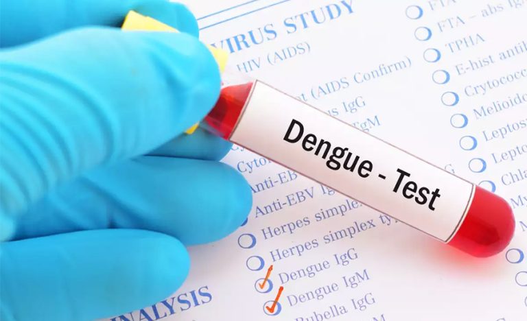 डेंगु संक्रमित १६ हजार नाघे, अहिलेसम्म १२ जनाको मृत्यु