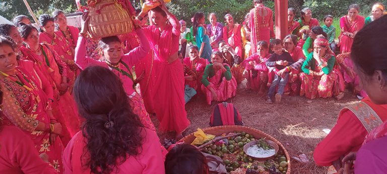 सुदूरपश्चिममा गौरा पर्वको रौनक, आज मुख्य दिन अठवाली मनाइँदै