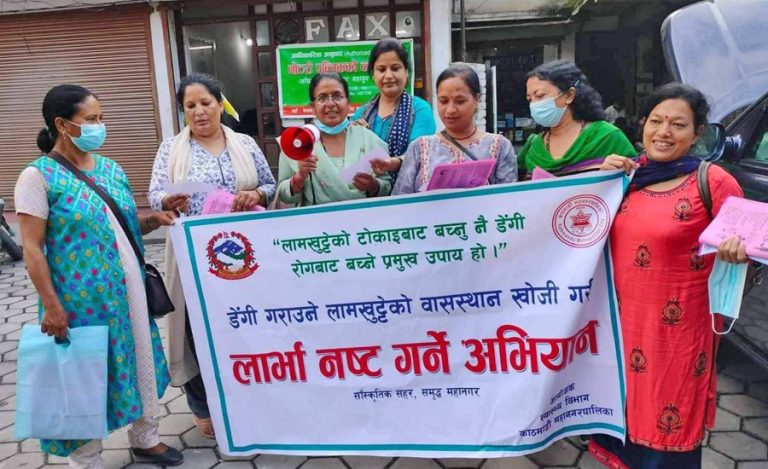 काठमाडौं महानगरमा ‘लार्भा खोज र नष्ट गर’ अभियान