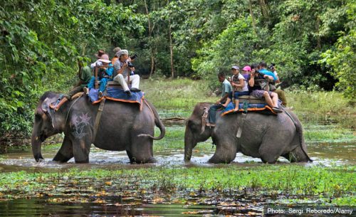 सौराहा आउन थाले पर्यटक