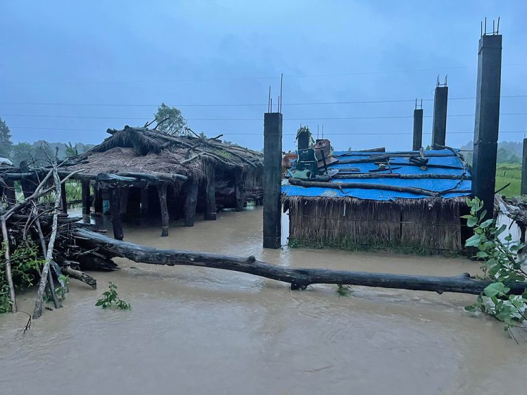 कञ्चनपुरमा बाढी बस्तीमा पस्दा ३०० घर डुबानमा, महाकालीमा बढ्यो जलस्तर