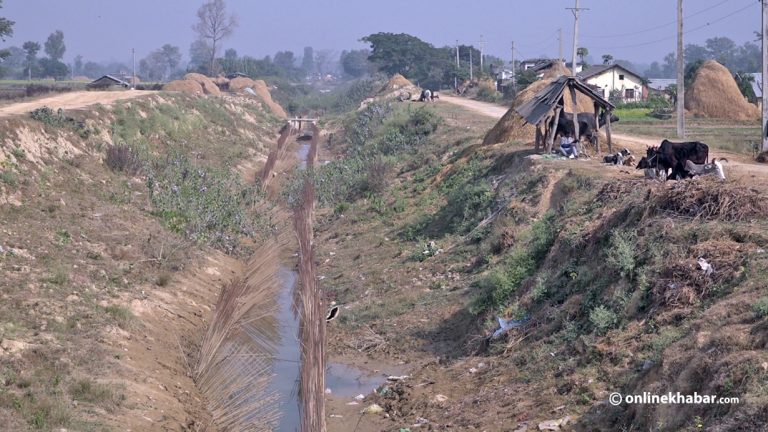 सिक्टा सिंचाइ : १६ वर्षमा १९ अर्ब खर्च, पैसा बग्यो पानी बगेन