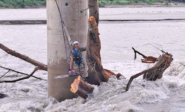 सेनाले हटायो सेतीमा अड्किएको रुख