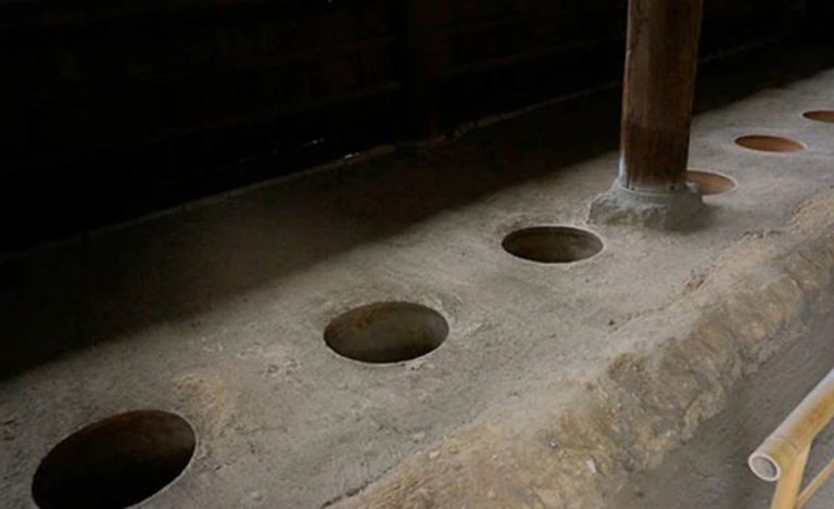 पाँच सय वर्ष पुरानो जापानको शौचालयमा कार ठोक्किएपछि…