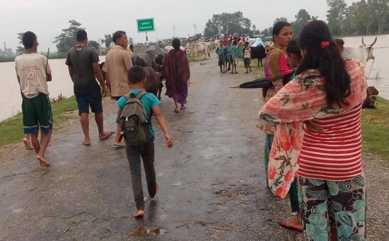 कैलालीको भजनीमा बाढीले ५०० घर डुबानमा