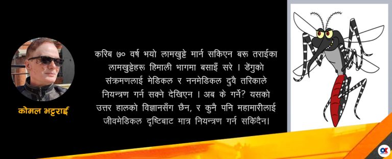 हाल डेंगु जस्ता प्रकोप हाम्रा वशमा छैनन्