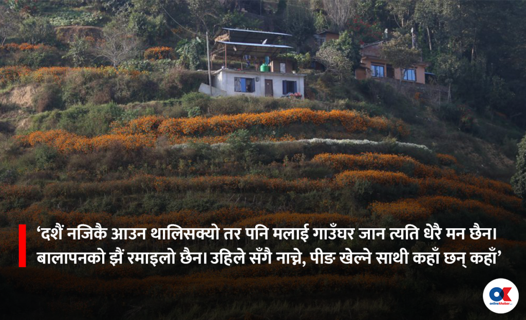 दशैंले जोड्ने मेरो जन्मभूमिसँगको साइनो