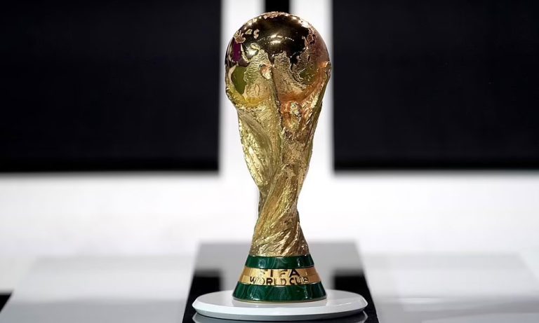 संख्यामा फिफा विश्वकप : उपाधि, गोल, उमेर र पुरस्कार राशी