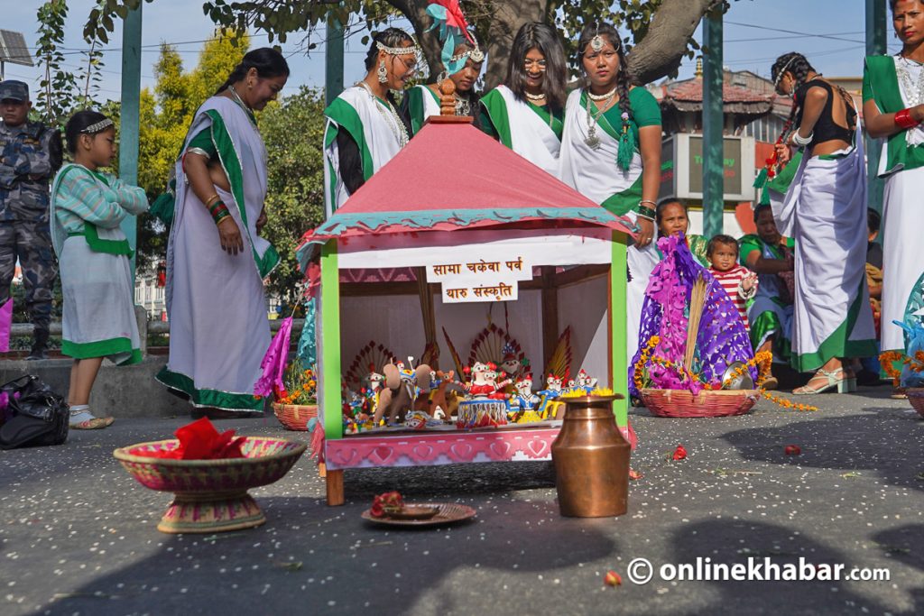 समाचकेवा पर्व : थारू समाजको यथार्थ चित्रण