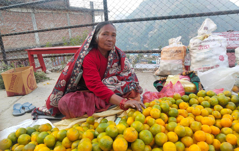 रोल्पाको सुन्तलाले बजार पाएन