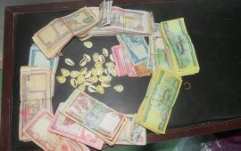 जुवा खेलिरहेका २९ जना पक्राउ