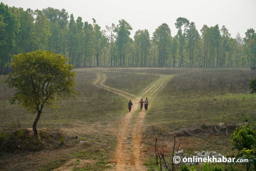 बढ्दो मानव-वन्यजन्तु द्वन्द्व : समाधानको लामो बाटो