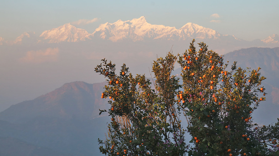 पर्यटक आकर्षित गराउँदै चितवनको पामडाँडा