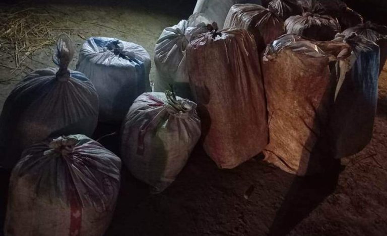 पर्साबाट ठूलो परिमाणमा गाँजा बरामद