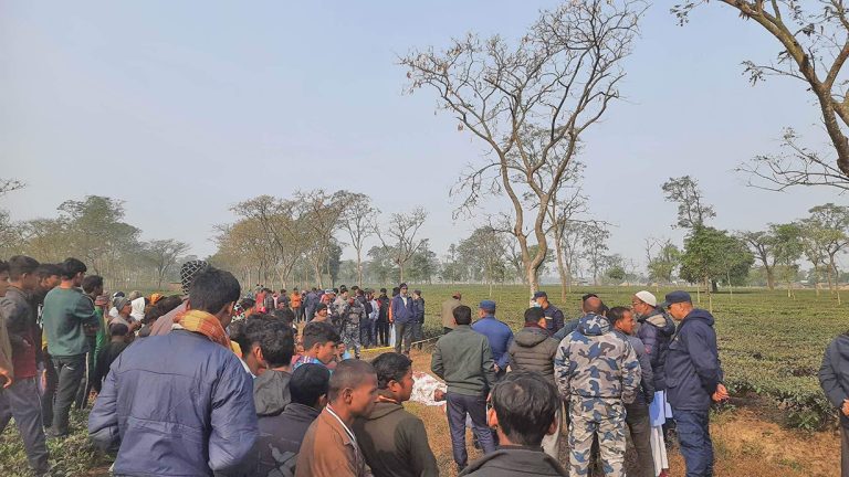 झापाको चिया बगानमा युवक-युवती मृत भेटिए