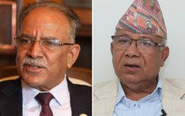 पार्टीका सबै कमिटीमा ५० प्रतिशत युवालाई नेतृत्वमा ल्याउने नेकपाको निर्णय