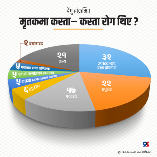 डेंगु मृत्युमाथि विश्लेषण : संक्रमित मृतकमा कस्ता-कस्ता रोग थिए ?