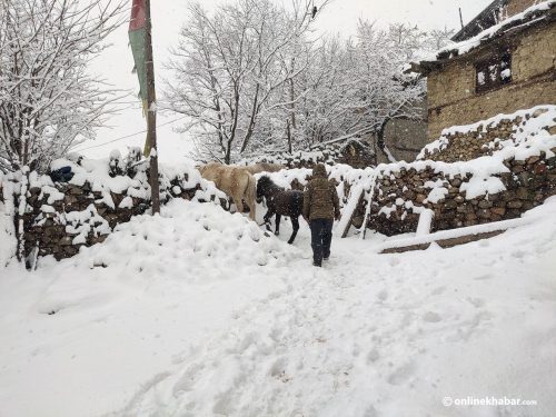 बाक्लो हिउँ जमेपछि बन्द भयो हिल्सा नाका