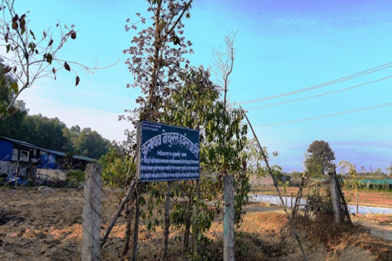 झापामा फस्टाउँदै जडीबुटी खेती   
