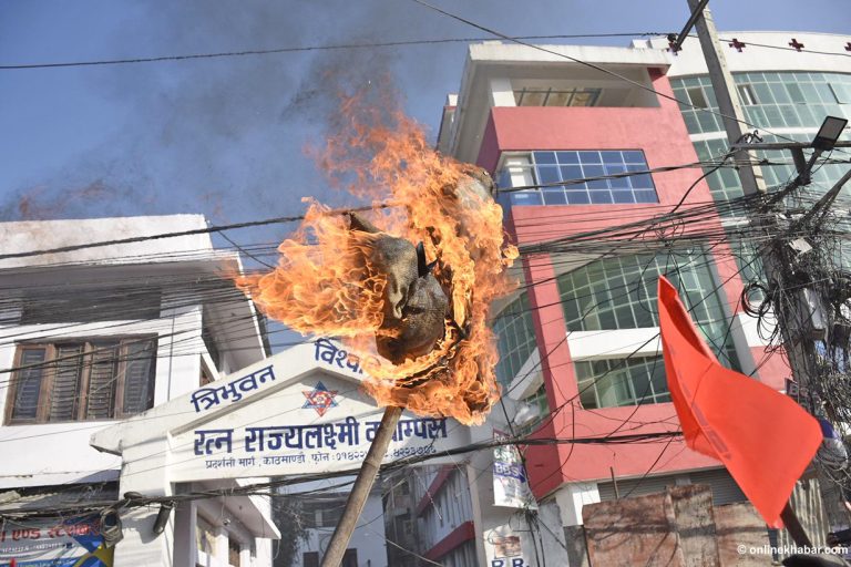 अनेरास्ववियूले जलायो शिक्षामन्त्रीको पुत्ला (तस्वीरहरू)