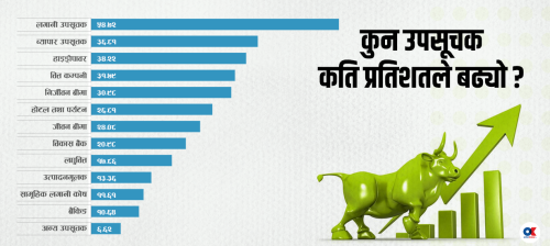 आधारभूत आर्थिक परिसूचक नसुध्रिंदै बढेको बजार कति दिगो ?