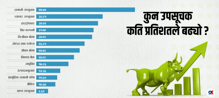 आधारभूत आर्थिक परिसूचक नसुध्रिंदै बढेको बजार कति दिगो ?