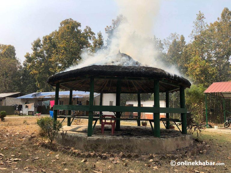 मकवानपुरमा हात्तीको आक्रमणमा परी वृद्धा घाइते, आक्रोशित गाउँलेले आर्मी पोष्ट जलाए